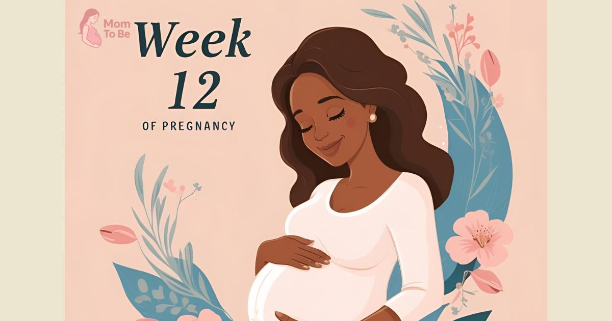 Week 12 of Pregnancy: The Last Stop Before Trimester Two