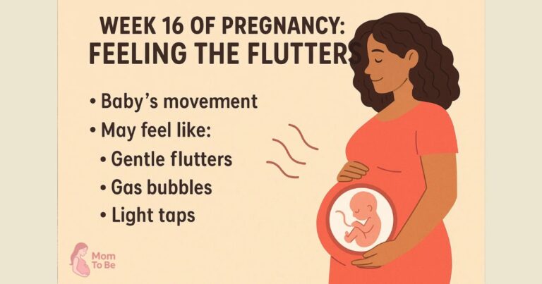 Week 16 of Pregnancy: Feeling the Flutters