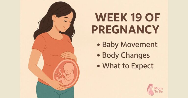 Week 19 of Pregnancy: The Magic Grows Stronger