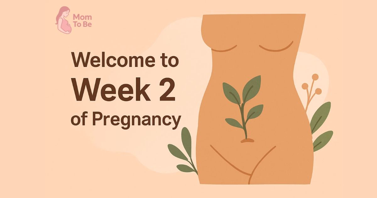 week 2
