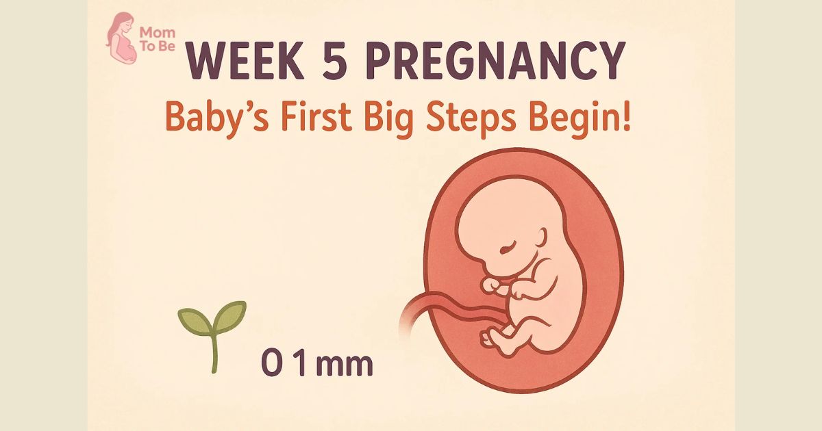 🍼 Week 5: Pregnancy Milestones & Early Growth
