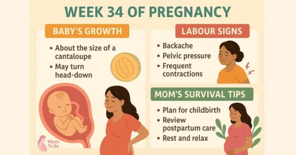 Third Trimester Pregnancy Guide